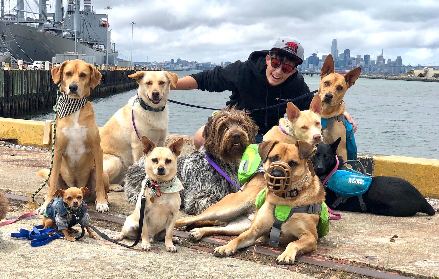 The Dandy Dogwalker - Hadley_Queer in Oakland